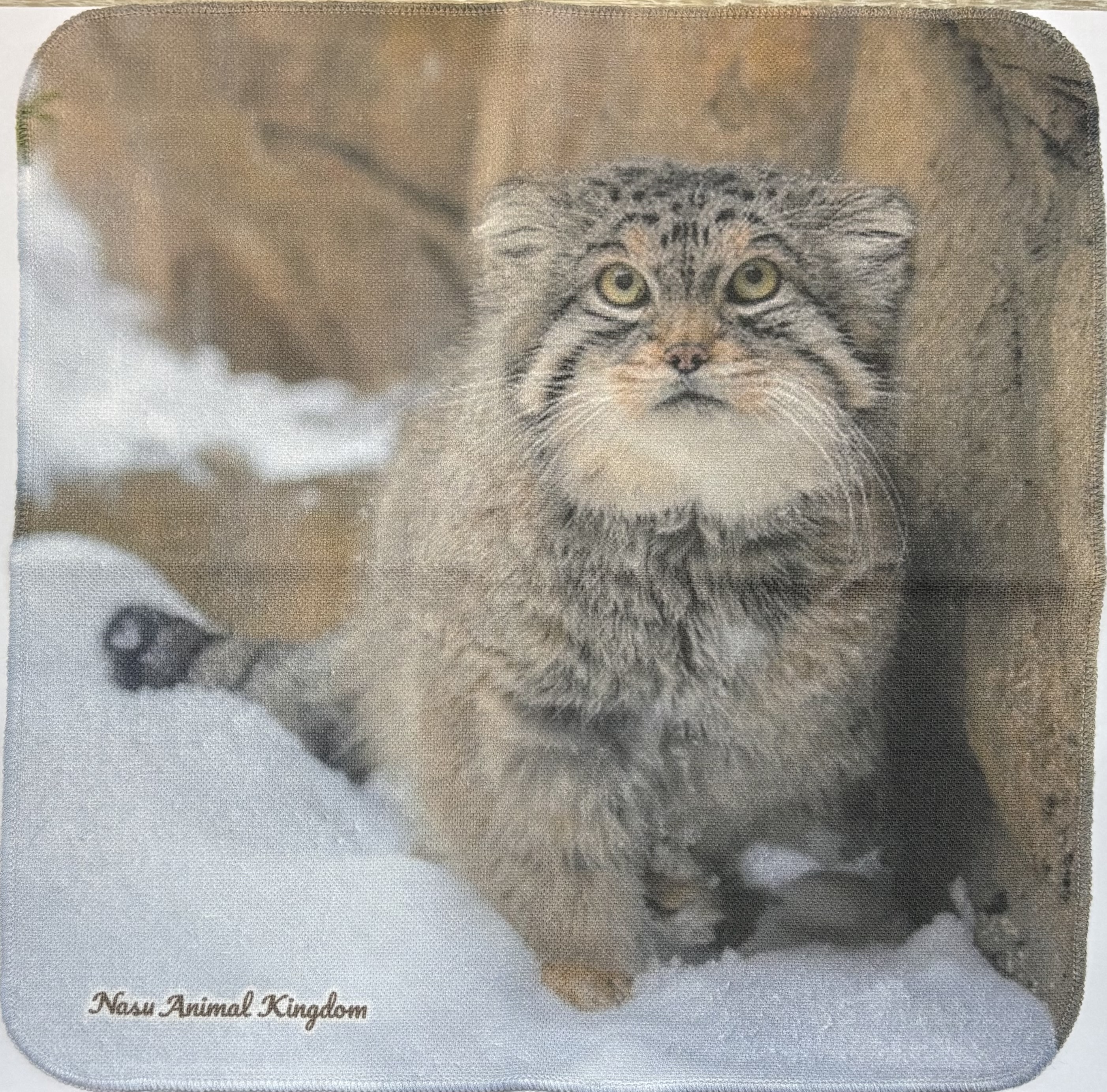 Original】ガーゼハンドタオル レフ雪上 | 那須どうぶつ王国ネット